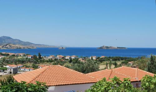 Villa Troyan Hill Apartments