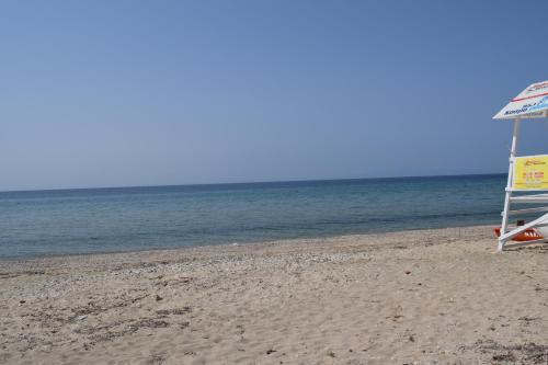 Sozopoli Hawaii Beach