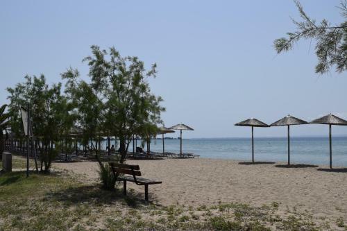 Sozopoli Hawaii Beach