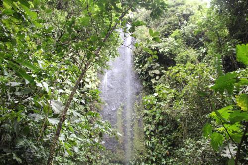Kuyana Amazon Lodge