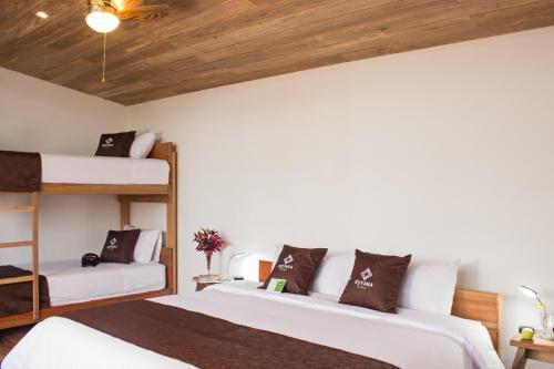 Kuyana Amazon Lodge