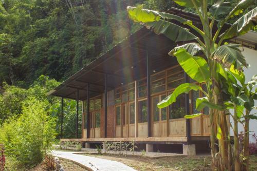 Kuyana Amazon Lodge