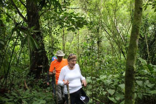 Kuyana Amazon Lodge