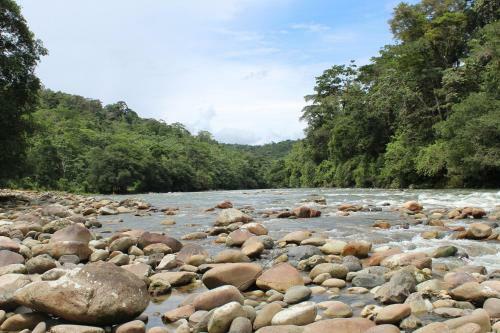 Kuyana Amazon Lodge