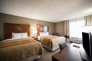 Hotel Comfort Inn & Suites