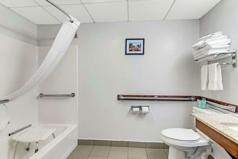 Hotel Comfort Suites Lansing