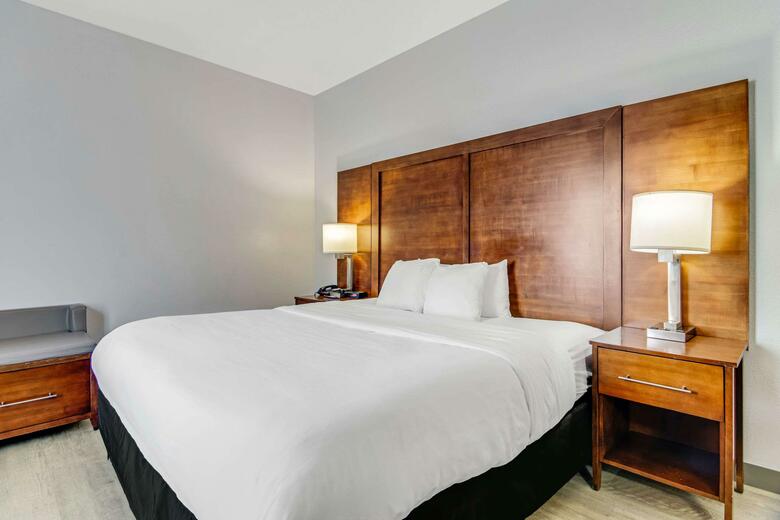 Hotel Comfort Suites Lansing
