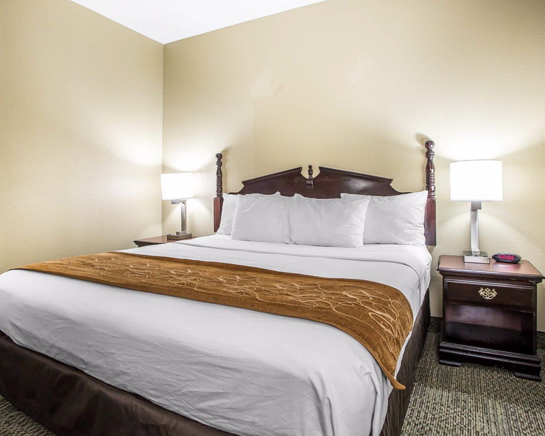 Hotel Comfort Suites Lansing