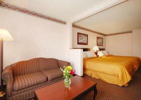 Hotel Comfort Suites Lansing