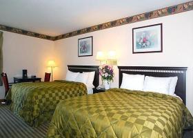 Hotel Comfort Inn & Suites