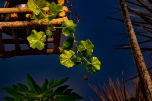 Hostal Mandala Hostel Monta�ita