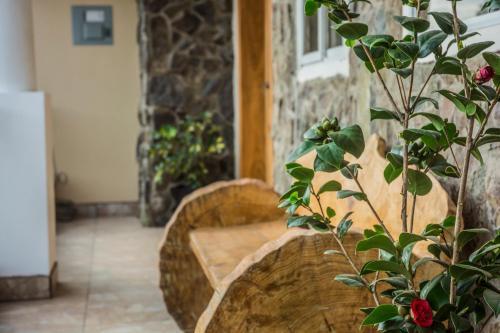Apartamento Suites For You Otavalo
