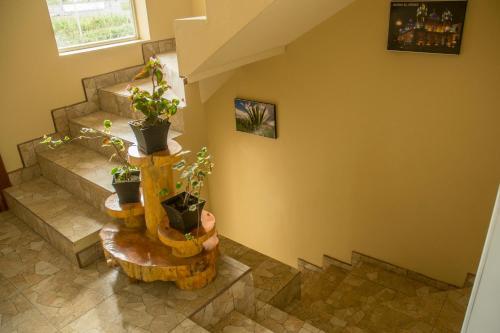 Apartamento Suites For You Otavalo