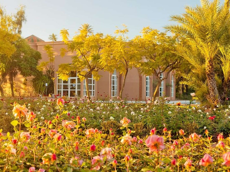Hotel Barcel� Palmeraie