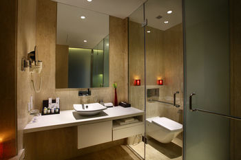 Hotel Park Plaza Shahdara