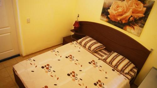 Hostel Dream House