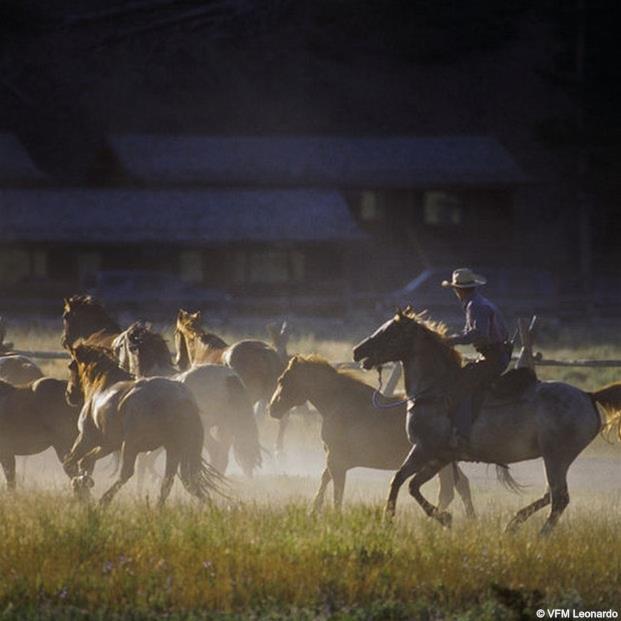 Hotel 320 Guest Ranch