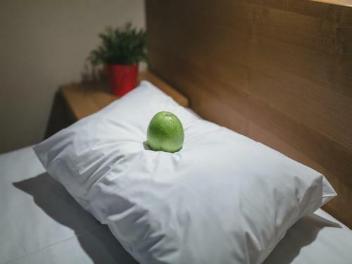 Fat Cat Hotel Domodedovo