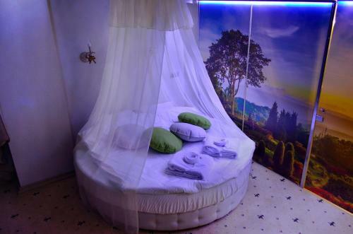 Spa Hotel Ingerburgskiy