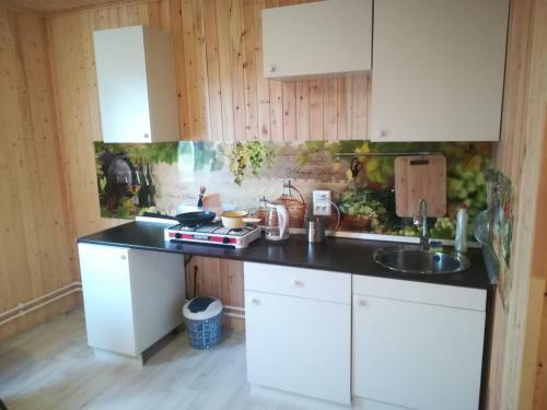 Hostal Guest House V Gorelovo 2