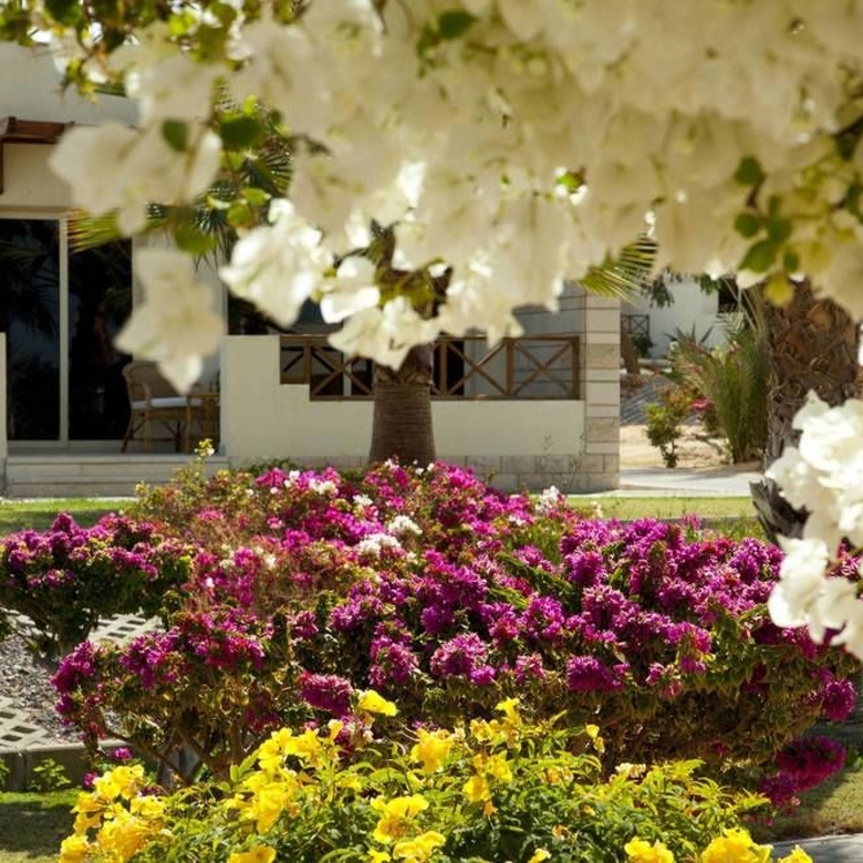 Hotel Coral Beach Resort Hurghada