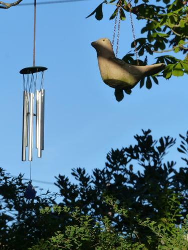 Bed & Breakfast Absolut Oiseaux