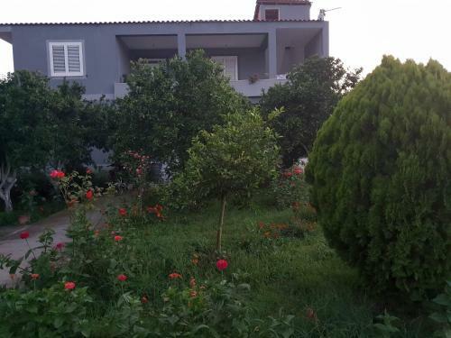 Hostal Guesthouse Anila