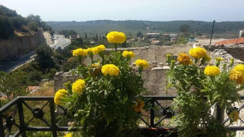 Hostal Vuno