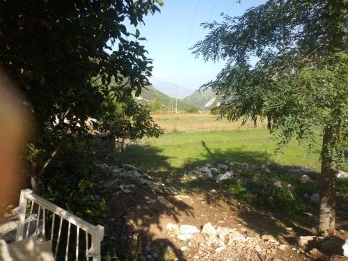 Hostal Geis Guesthouse