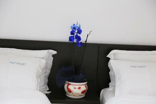Bed & Breakfast Vila Ama