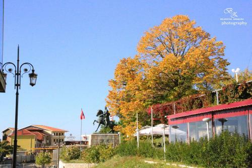Bed & Breakfast Vila Ama