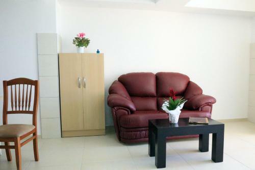 Bed & Breakfast Vila Ama