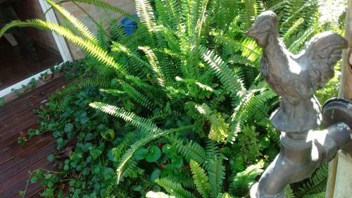 La Ignacia Bed And Breakfast