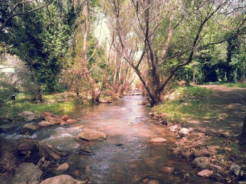 La Posada Del Hobbit