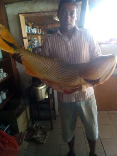 Lodge Complejo Paraiso Yapeyu