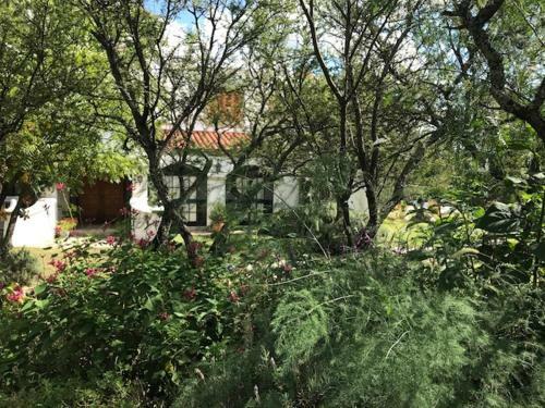 Bed & Breakfast Monestir De Montserrat