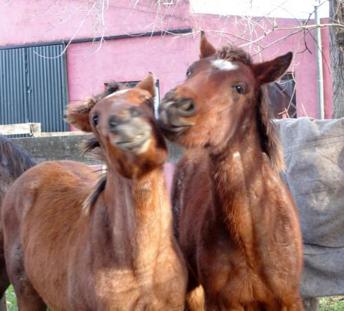 Agroturismo Estancia Los Patos