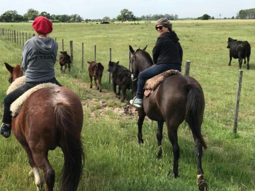 Agroturismo Estancia Los Patos