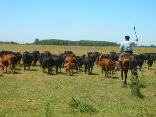 Agroturismo Estancia Los Patos