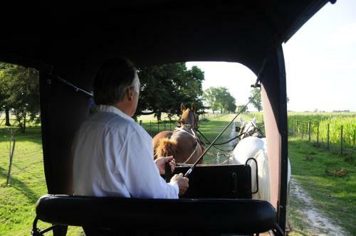 Agroturismo Estancia Los Patos