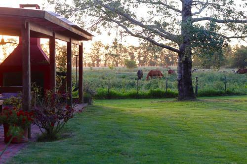 Lodge La Calma - Casa De Campo