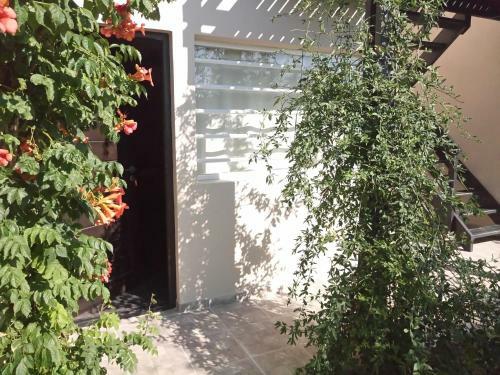 Apartamento Departamentos Los Tamariscos