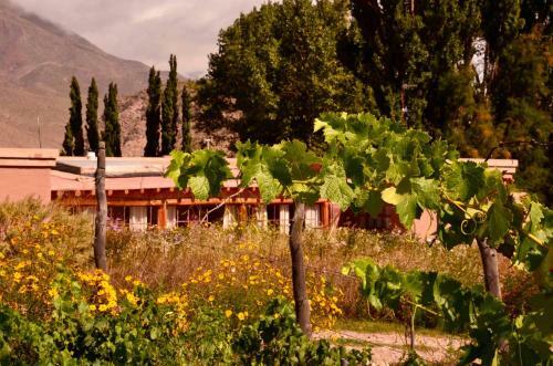 Posada Vi�as De Uquia