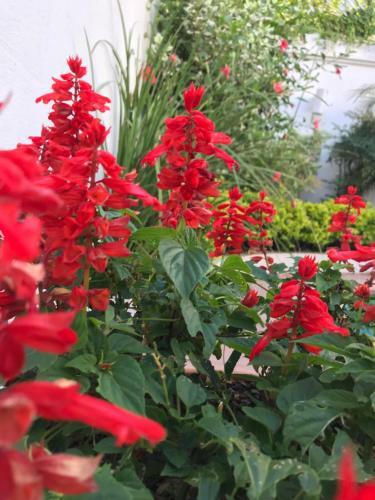Agroturismo El Aljibe