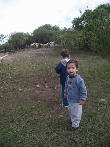 Lodge Complejo Megevand