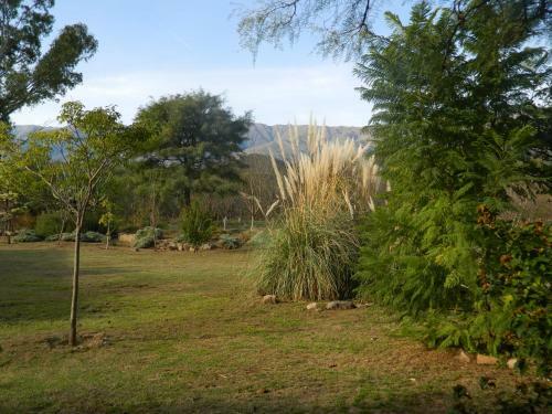Agroturismo Finca La Julia