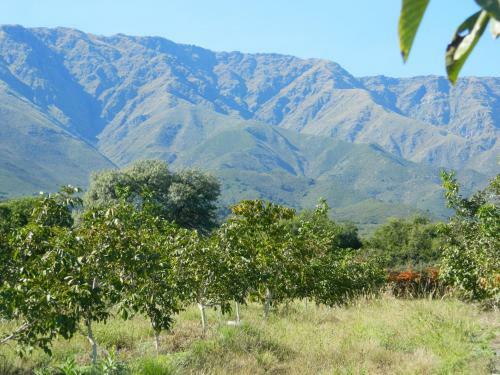 Agroturismo Finca La Julia