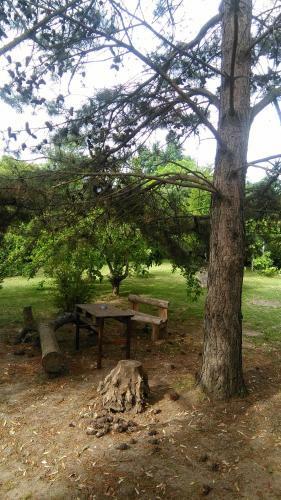 Lodge La Juntada
