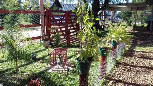 Lodge Monosambientes Colon