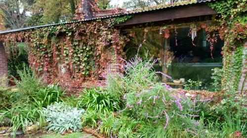 La Ignacia Bed And Breakfast